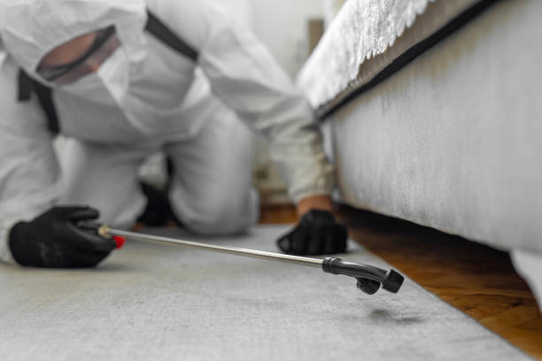 Professional Cockroach Control technician working in North Lima, OH