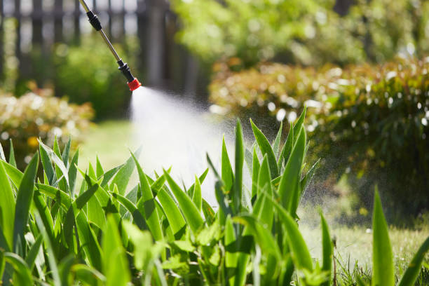 24/7 Emergency Cockroach Control experts in North Lima, OH