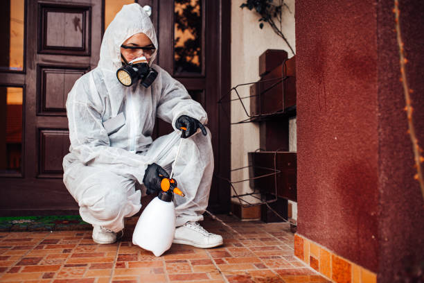 Reliable Cockroach Control contractor in North Lima, OH by Nex Pest Control